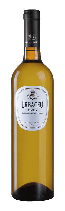 Erbaceo