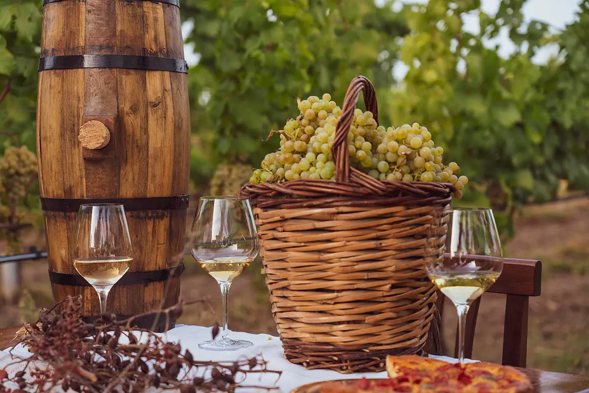 foto_visite-in-cantina