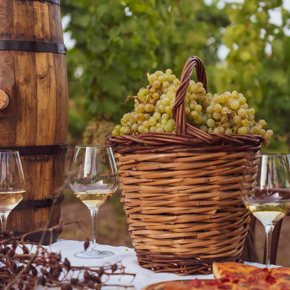 Visite in cantina
